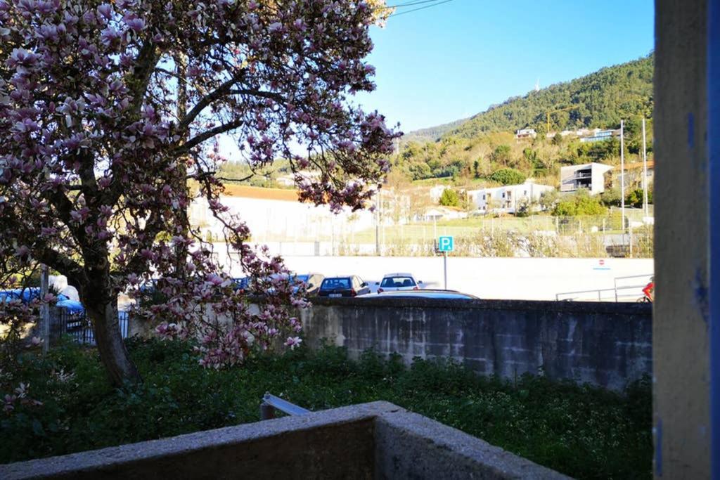 Nineplace By Louzanplace'S Lousã Εξωτερικό φωτογραφία